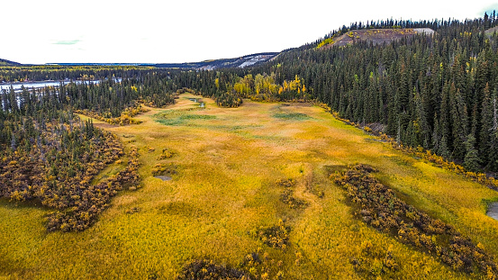View from a drone.  Wrangle St Elias is a stunning National Park located in Eastern Alaska. The natural beauty of this land, untouched by man is breathtaking. During the change of seasons, from Summer to Fall, the area transforms from green to golden colors.