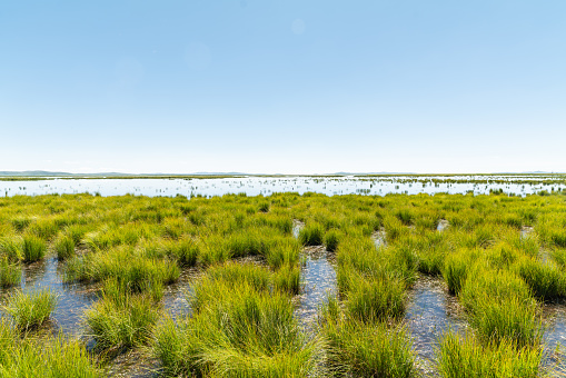 Dramatic landscape in Ruoergai National Wetland Park, China