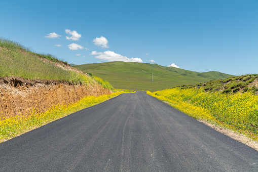 Road through prairie