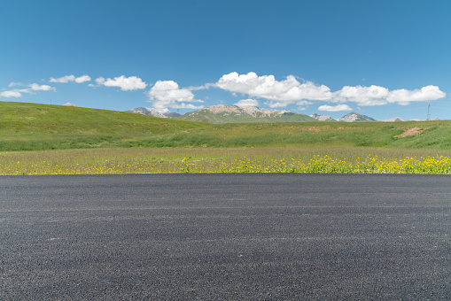 Road through prairie