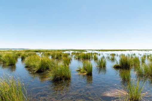 Dramatic landscape in Ruoergai National Wetland Park, China