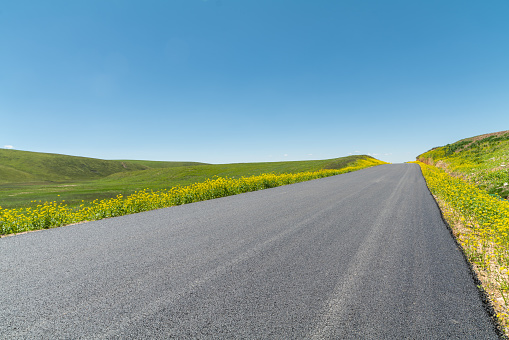 Road through prairie