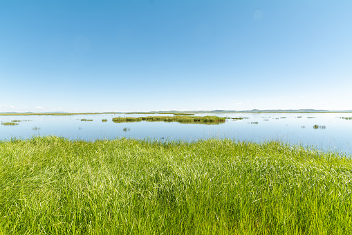 small lake with sandy coast in the forest forest, beautiful summer outdoor scene