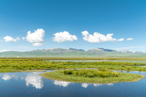 Dramatic landscape in Ruoergai National Wetland Park, China