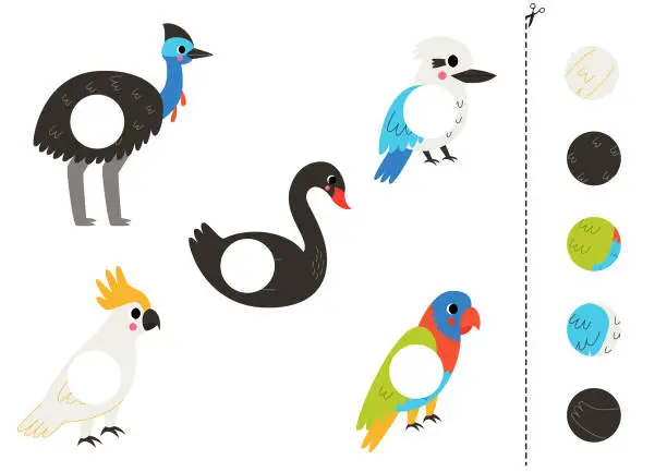 Vector illustration of Cut and glue parts of cute Australian birds.