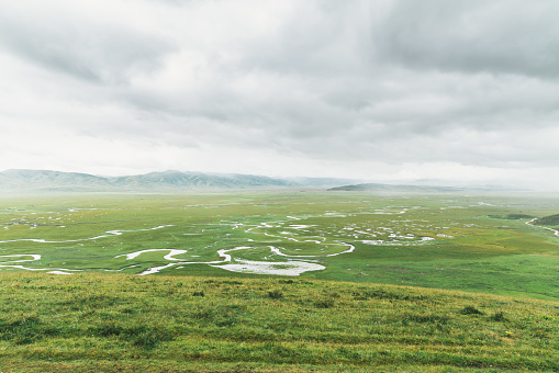 wild nature landscape with salt lake, green and red grass and cloudy blue sky at sunrise sun