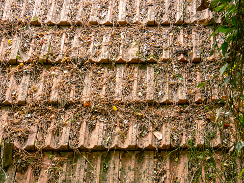 Old red clay rooftiles covered with dry leaves, grass and bush branches direct view