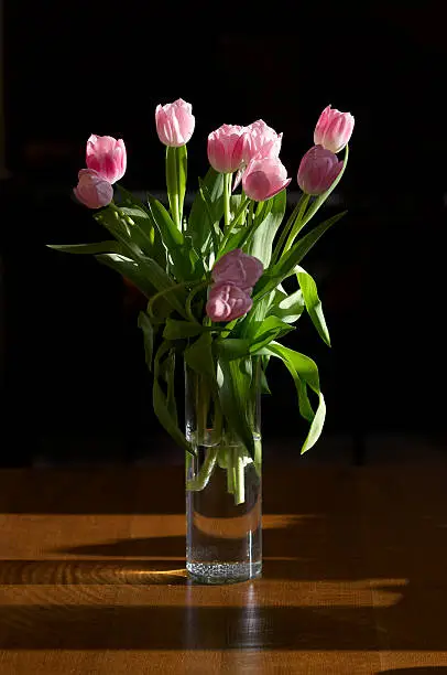 Tulips in my house