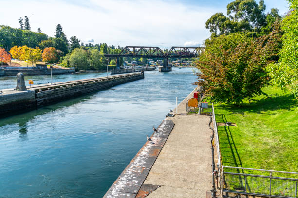 istock Ballard Locks Entrance 1695632374
