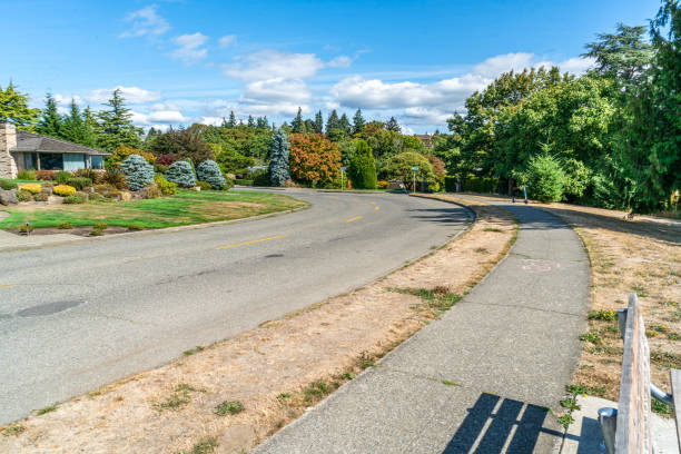 istock Magnolia Street View 2 1695632937