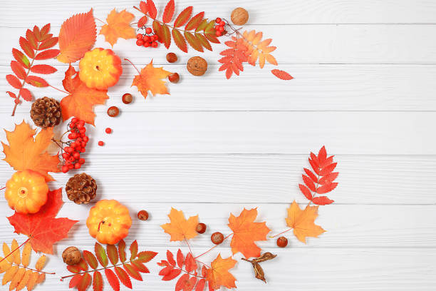 istock Frame with maple leaves, pine cones, nuts, pumpkins and rowan berries, autumn abstract composition, Thanksgiving concepts, seasonal background, banner or screensaver, greeting card or invitation 1695632955
