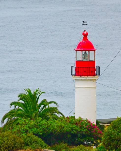 French island in the Mediterranean Sea. Birthplace of Napoleon.