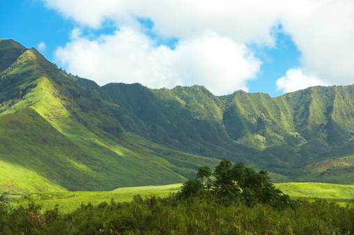 Panoramic photo of a Hawaiian landscape (Oahu)