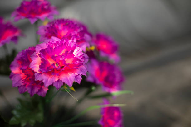 Purple flowers. Bright plants. Beautiful background. Artificial flowers.