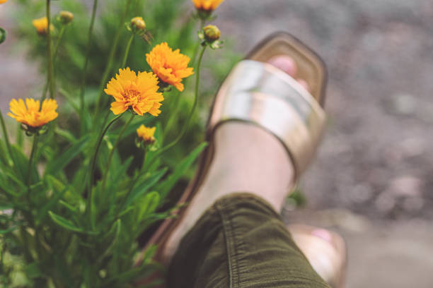Summer/Autumn Flowers