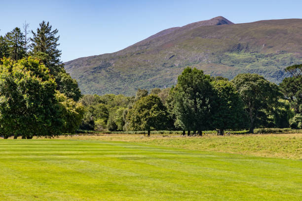 istock Mountains, grass field, Trees and vegetation on Lough Leane lake 1695665978