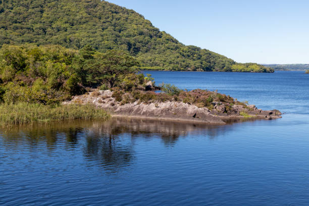 istock Trees and vegetation on Lough Leane 1695670245