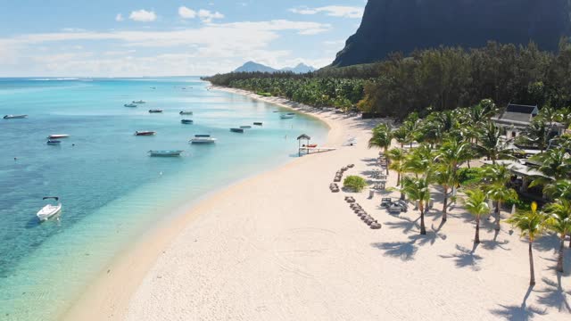 Tropical beach in Mauritius. Sandy beach with palms, horses and blue transparent ocean. Aerial view