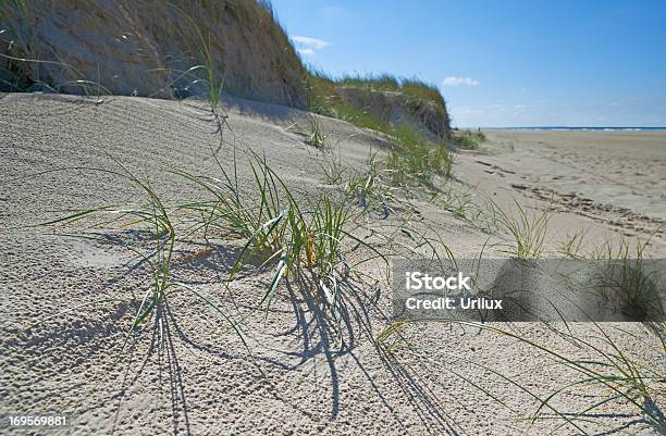 Coastal Splendor Series Stock Photo - Download Image Now - Beach, Beauty, Blue