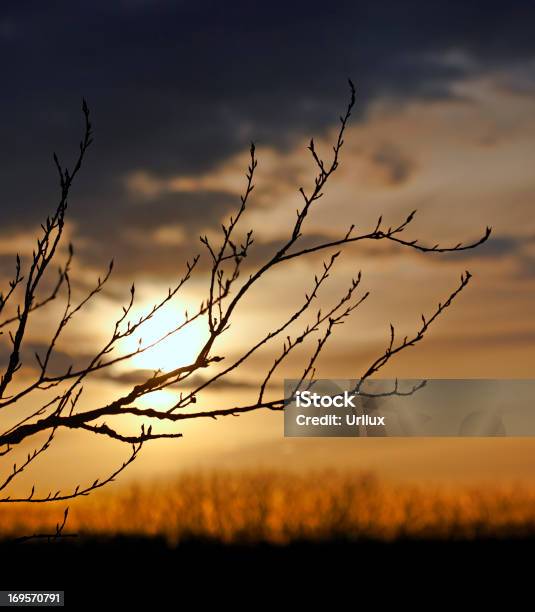 Foto de Pôrdosol Do Inverno e mais fotos de stock de Aberto - Aberto, Abril, Abrindo