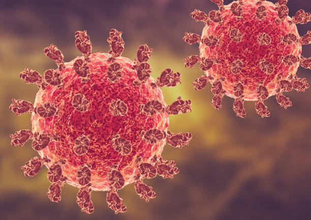 istock Nipah is a bat-borne virus that causes acute respiratory syndromes and encephalitis 1695711403