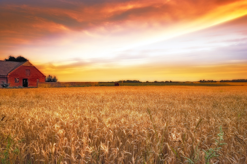 Shot of sunset over a scenic farm