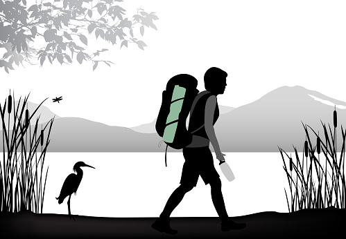 Backpacker walking by a lake and tall reeds and heron hiding among them.  Silhouette illustration