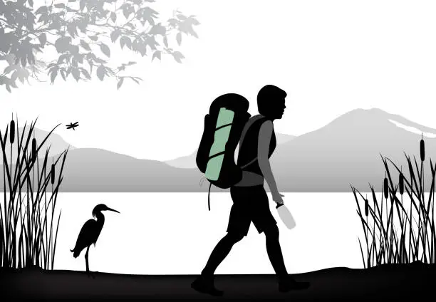 Vector illustration of Backpacker By The Lake