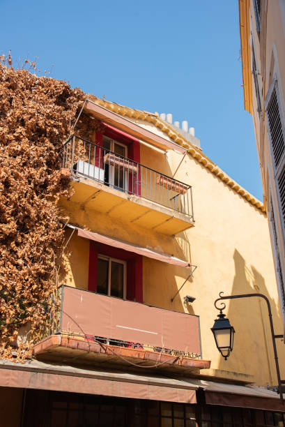 istock Cannes, France 1695724388