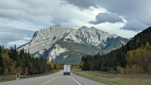 istock Driving through Jasper National Park 1695747418
