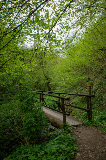 istock Regional park Sassi di Roccamalatina 1695750630