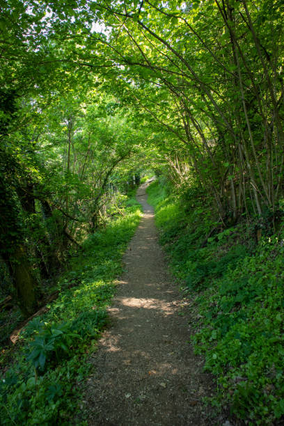 istock Regional park Sassi di Roccamalatina 1695750634