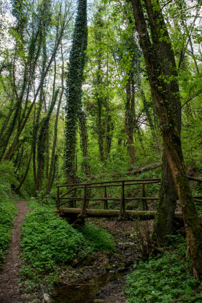 istock Regional park Sassi di Roccamalatina 1695750665