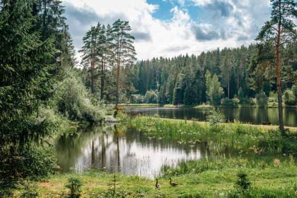 istock Beautiful forest lake in Russia. 1695756296