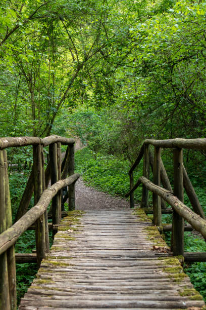 istock Regional park Sassi di Roccamalatina 1695758414