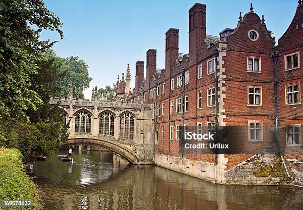 Universidade De Cambridge - Fotografias de stock e mais imagens de Ao Ar Livre - Ao Ar Livre, Aprender, Aristocracia
