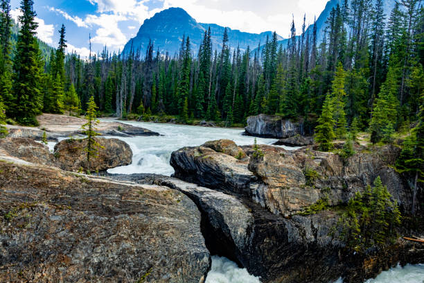 istock Natural Bridge Yoho National Park British Columbia Canada 1695786855