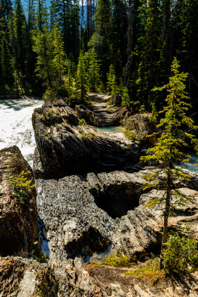 istock Natural Bridge Yoho National Park British Columbia Canada 1695787405