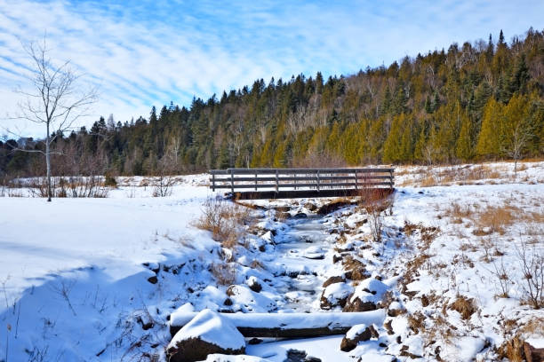 istock Snow Covered Foot Bridge over a Frozen Stream 1695792329