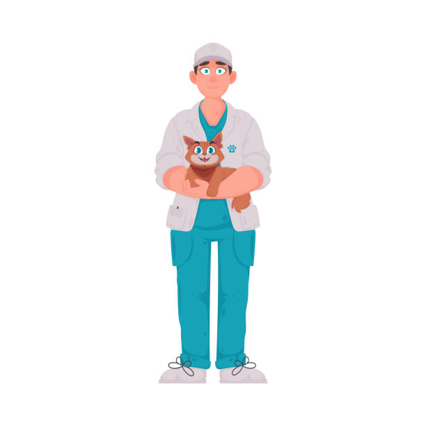 illustrations, cliparts, dessins animés et icônes de un homme est très heureux et aime s’occuper des animaux, comme un chat très mignon. illustration vectorielle. - purebred cat illustrations