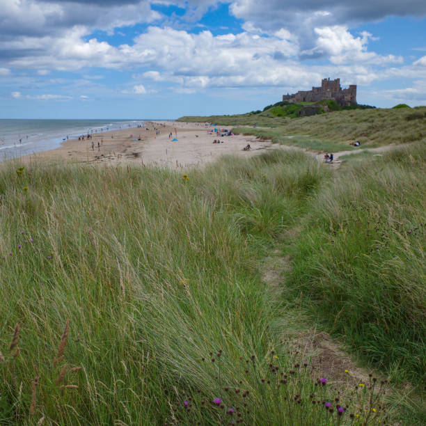 istock Bamburgh castle and views along the Northumbrian coast 1695819641