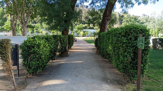 A path on both sides: trimmed shrubs and trees in a park in Lisbon photo