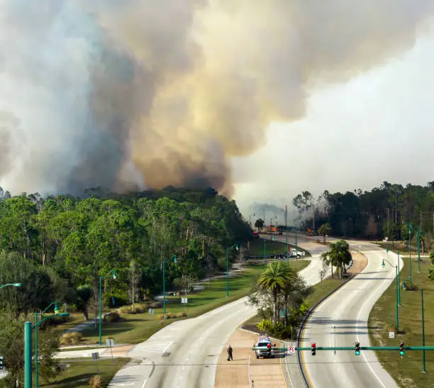 Aerial view of fire department firetrucks extinguishing wildfire burning severely in Florida jungle woods. Emergency service firemen trying to put down flames in forest.