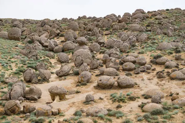 Photo of Unusual spherical shape of stones in the Kazakh steppe Mangistau, valley of balls in nature Torysh