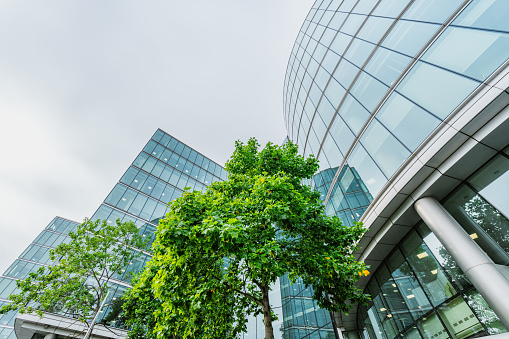 Business towers and Green leaves, London