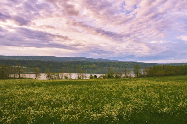 Beautiful spring landscape with with green field, fluffy clouds and small lake