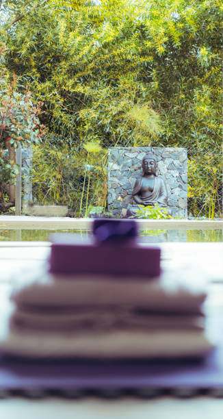 une statue de bouddah située dans la cour du studio de yoga - sculpture contemporary buddha sparse photos et images de collection