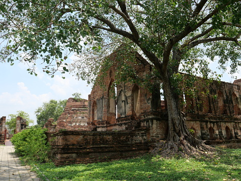 Ruins at Wat Kudi Dao, Ayutthaya, Thailand