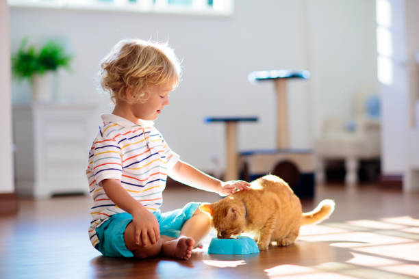 istock Child playing with cat at home. Kids and pets. 1696083264