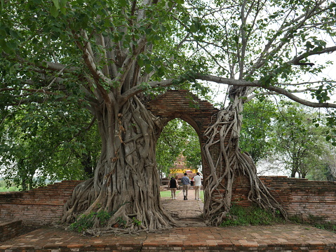 Ayutthaya, Thailand-May 12, 2023: people at Phra Ngam Temple, Gate of Time, Ayutthaya, Thailand